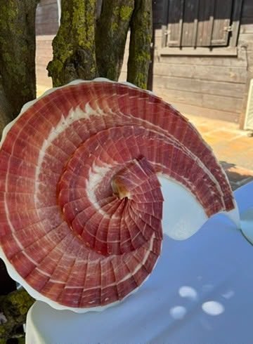Lonchas de jamón ibérico dispuestas en espiral sobre un plato con forma de concha